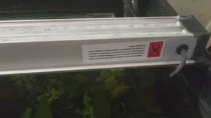 Перегорел светильник Био Дизайн.