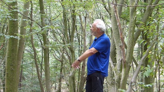 Microcosmic Orbit with Trees - Introduction 1/8 смотреть онлайн