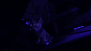 Вольт - Я сошёл с ума -