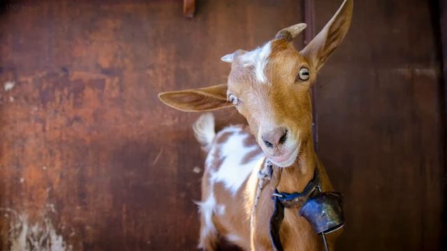 Nikon D7000 Sample Images | Nikon D7000 Photos смотреть онлайн