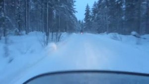 Ski-Doo Touring 500 SLE & Ski-Doo Renegade 900