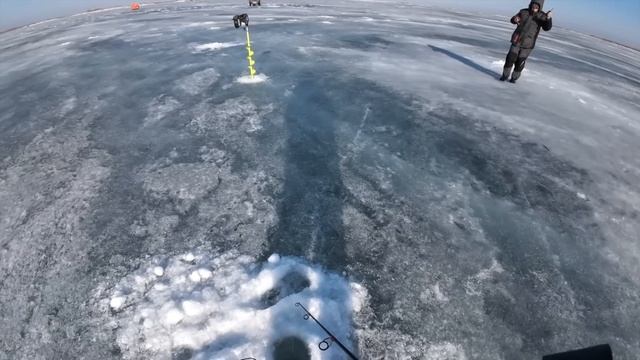 Закрытие сезона с Приключениями! Рыбалка на ВИБЫ. смотреть онлайн