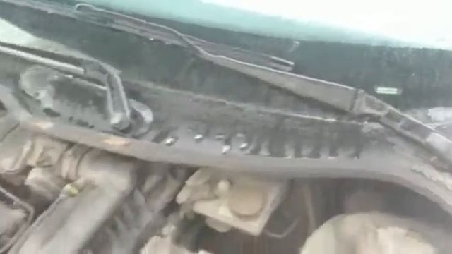 Расположение VIN номера на Peugeot 206 смотреть онлайн