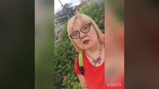 Шиповниковые зарисовки смотреть онлайн