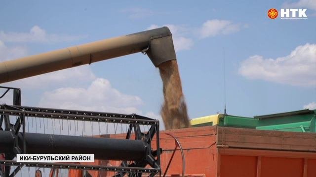 В хозяйствах республики продолжается уборочная кампания
