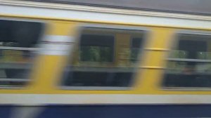 ты уедешь к северным оленям