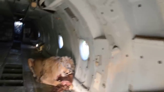 Олежка приспособился кушать в самолете! смотреть онлайн