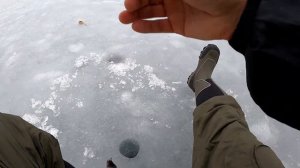 Рубское! Заключительная рыбалка сезона твёрдой воды 2020!
