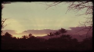 Willie Nelson, Merle Haggard - Alice In Hulaland (Official Video)