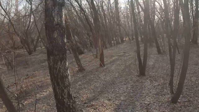 на память первая воскреска Красноярск смотреть онлайн