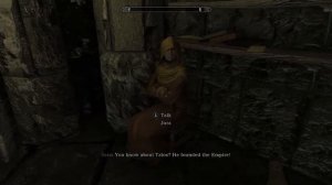 This is the perfect Skyrim pc experience