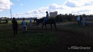 Первый раз на лошади|Первый раз катаюсь на лошадках|Конный спорт