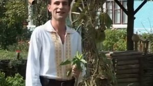 ION PALADI - FOAIE VERDE CINCI CHIPERI (SPIROS GALATI)