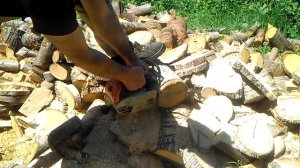 Echo cs 2511tes vs stihl ms150tc