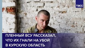 Пленный ВСУ рассказал, что их гнали на убой в Курскую область