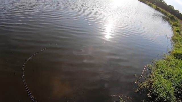 A Closer Look at the PICASSO LURES SHOCK BLADE - Bladed Jig with Aaron Martens смотреть онлайн