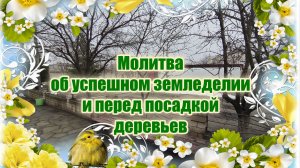 Молитва об успешном земледелии и перед посадкой деревьев.