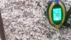 Голубика как измерить ph почвы, в помощь приходят приборы из под небесной?????