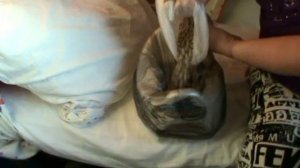 Как правильно подготовить детский горшок к поездке в общественном транспорте