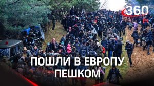 Лагерь прямо у КПП: мигранты на белорусско-польской границе пошли пешком в Европу
