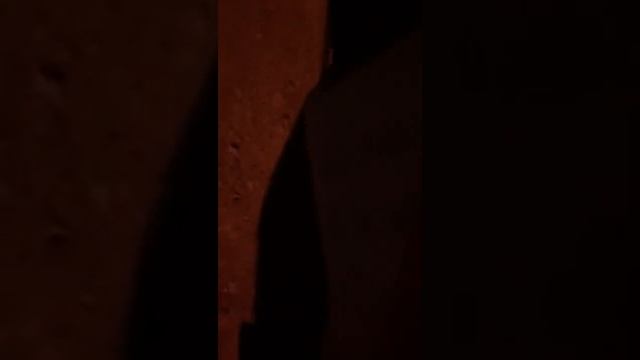 Как проходили выборы в с.Худуц Дахадаевского района. смотреть онлайн