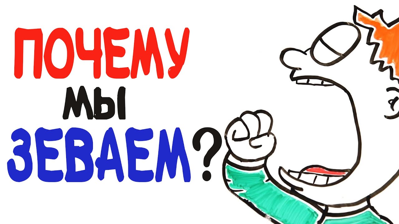 Почему мы зеваем?