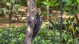 Пришло время платить по счетам!