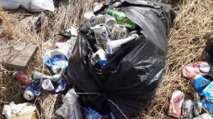 ? СКОЛЬКО СТОЯТ 4 МЕШКА БАНОК ИЗ ПОД ПИВА??? ? +? +?+ ?