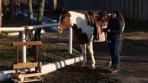 Как седлать лошадь под вестерн | Вестерн амуниция