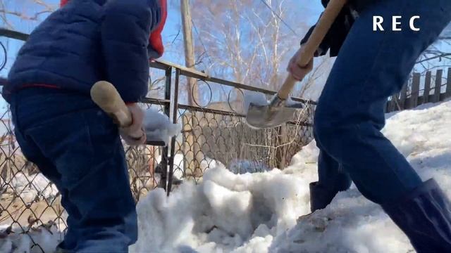 Переезжаю на почти заброшенную дачу смотреть онлайн