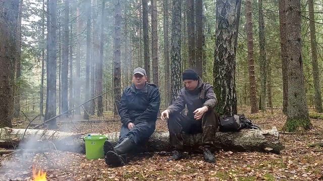 Чест Колян Грибы Колосово 2022 11 02 смотреть онлайн