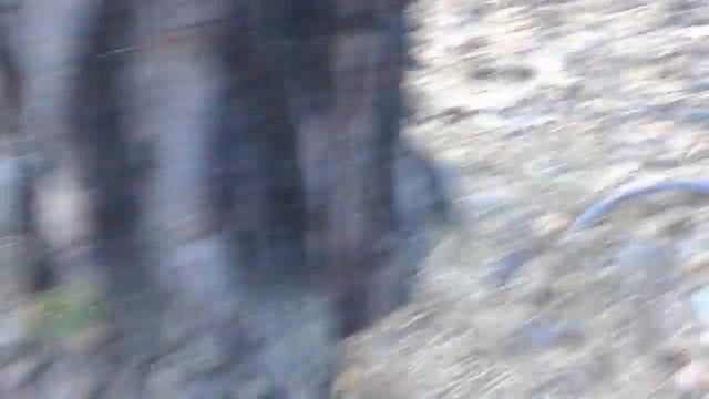 Грибной сезон В Боровом щучинск, грузди, смотреть онлайн