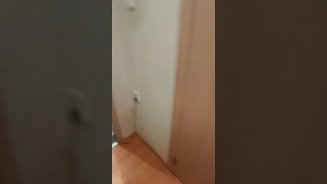 Мама Лена улетает в Турцию навсегда. Отдаёт мне всё мясное  из холодилька лабрадорам.