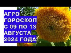 Агрогороскоп с 09 по 13 августа 2024 года Agrohoroscope from August 09 to August 13, 2024