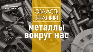 От экономики до организма: как металлы влияют на человека? Лекция материаловеда Дмитрия Кузнецова.