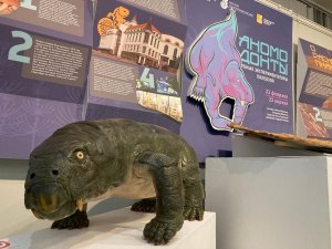 Аномодонты - новая выставка от Вятского палеонтологического музея в Московском Дарвиновском.
