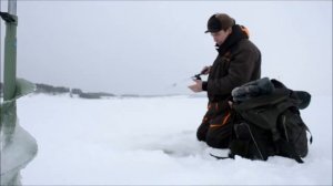 РЫБАЛКА В ЧЕБОКСАРАХ...РЕКА ВОЛГА...ЛЕВОБЕРЕЖЬЕ...ОКУНЬ НА БАЛАНСИР РАПАЛА...