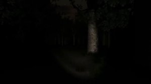 Slender - Полное прохождение - Все 8 записок!