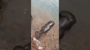 Рыбалка на карьере в г. Кумертау!