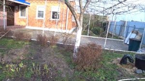 ИНКУБАТОР ЗАРАБОТАЛ???? ТЕПЛИЦА ГОТОВИТСЯ К ВЕСНЕ?