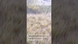 Ярыженский хутор. Волгоградская область Новоаннинский район.