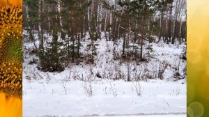 Что можно и что нельзя делать Перед выходом в МОРОЗ на улицу
