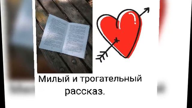 Мария Евсеева. 