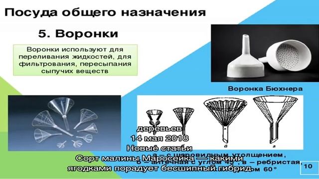 Что называют хлебным деревом смотреть онлайн