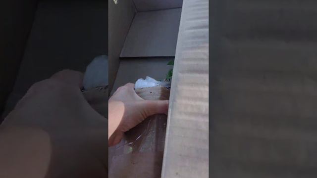 Отзыв клиента Агромаркет24 смотреть онлайн