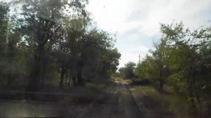 В поисках ПРИКЛЮЧЕНИЙ Renault Scenic RX4 ПОКАТУШКИ  // ОНА БОИТСЯ КОРОВ