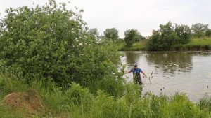 Рыбалка на мордушку поймал Вьюнов