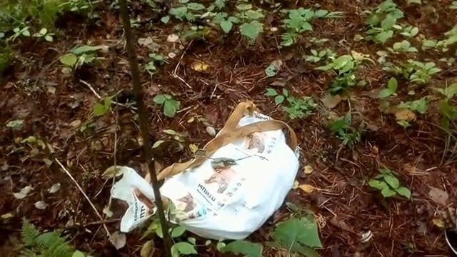 деньги под ногами смотреть онлайн