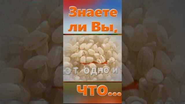 Знаете ли вы Что? Рис