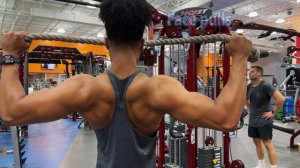 Back & Biceps | Mini Bulk 11